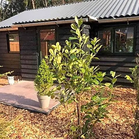 Inn Veluwse Bossuite Otterlo